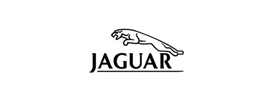 black jaguar icon